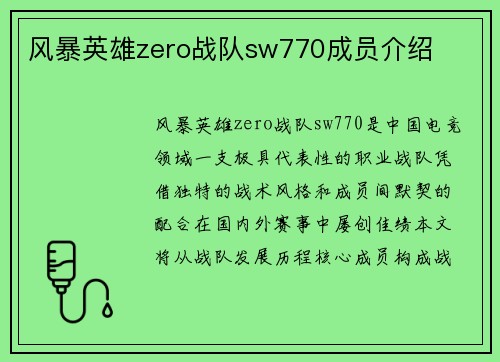 风暴英雄zero战队sw770成员介绍