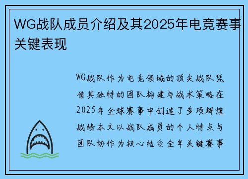 WG战队成员介绍及其2025年电竞赛事关键表现